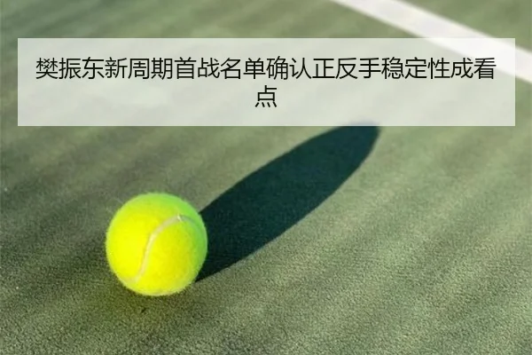 樊振东新周期首战名单确认正反手稳定性成看点 | HaoboSports